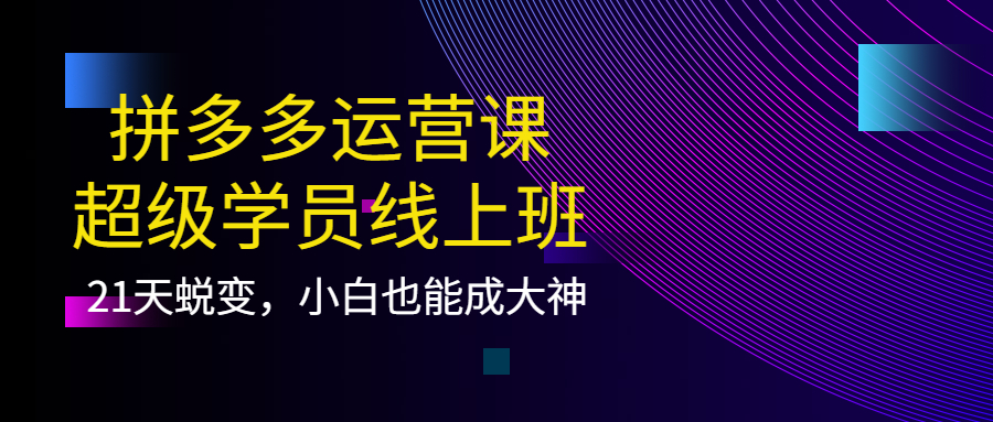 拼多多运营课：超级学员线上班，21天蜕变，小白也能成大神艺创吧-网创项目资源站-副业项目-创业项目-搞钱项目艺创吧