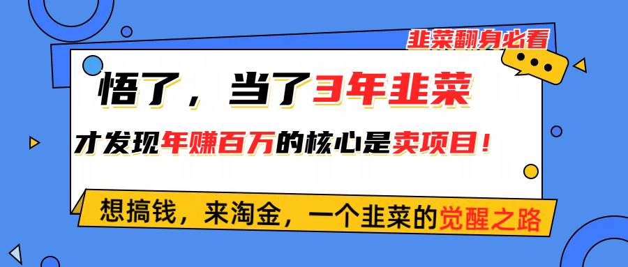 悟了，当了3年韭菜，才发现网赚圈年赚100万的核心是卖项目，含泪分享！艺创吧-网创项目资源站-副业项目-创业项目-搞钱项目艺创吧