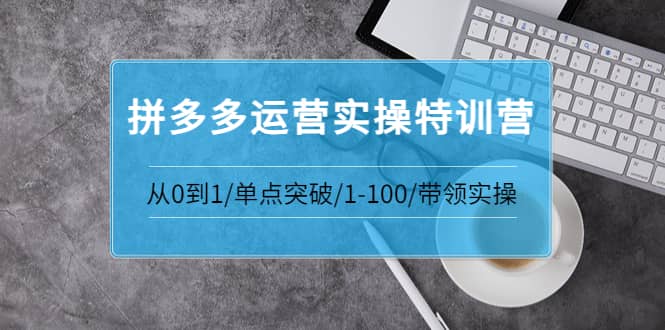 拼多多运营实操特训营：从0到1/单点突破/1-100/带领实操 价值2980元艺创吧-网创项目资源站-副业项目-创业项目-搞钱项目艺创吧