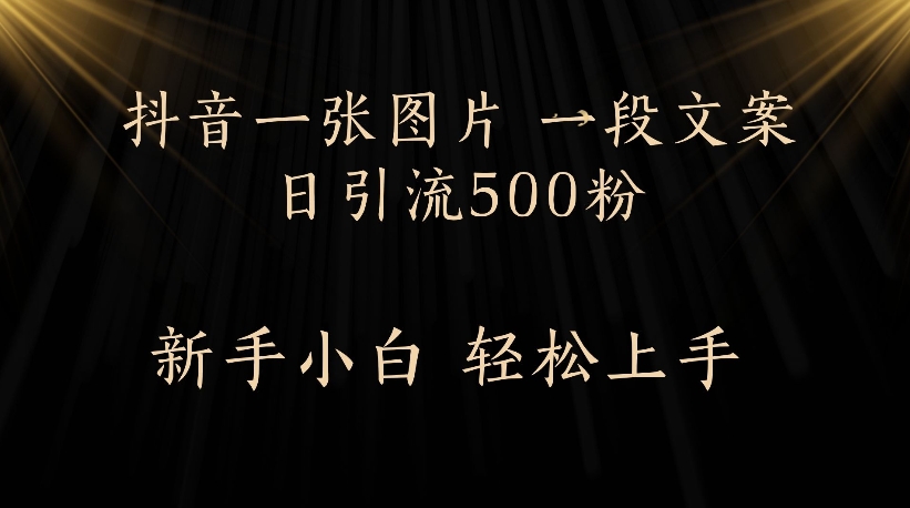 抖音一张图片，一段文案日引流500粉，新手小白 轻松上手艺创吧-网创项目资源站-副业项目-创业项目-搞钱项目艺创吧