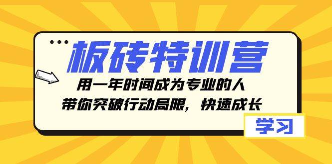 板砖特训营，用一年时间成为专业的人，带你突破行动局限，快速成长艺创吧-网创项目资源站-副业项目-创业项目-搞钱项目艺创吧