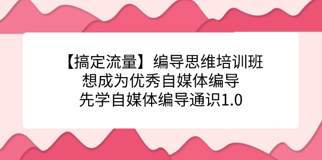 【搞定流量】编导思维培训班，想成为优秀自媒体编导先学自媒体编导通识1.0艺创吧-网创项目资源站-副业项目-创业项目-搞钱项目艺创吧