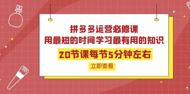 拼多多运营必修课：20节课每节5分钟左右，用最短的时间学习最有用的知识艺创吧-网创项目资源站-副业项目-创业项目-搞钱项目艺创吧