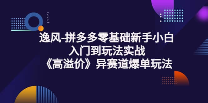拼多多零基础新手小白入门到玩法实战《高溢价》异赛道爆单玩法实操课艺创吧-网创项目资源站-副业项目-创业项目-搞钱项目艺创吧