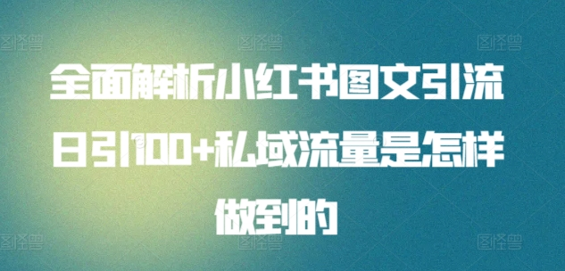 全面解析小红书图文引流日引100私域流量是怎样做到的艺创吧-网创项目资源站-副业项目-创业项目-搞钱项目艺创吧
