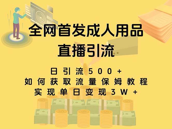 最新全网独创首发，成人用品直播引流获客暴力玩法，单日变现3w保姆级教程艺创吧-网创项目资源站-副业项目-创业项目-搞钱项目艺创吧