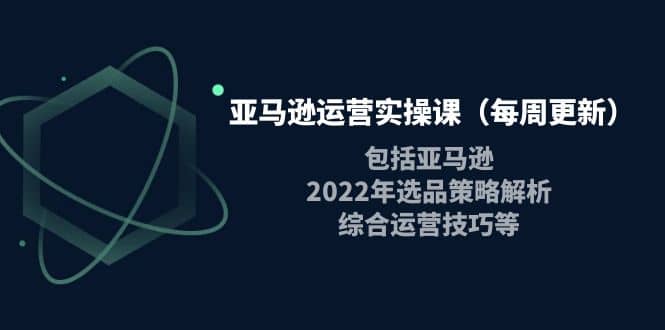亚马逊运营实操课（每周更新）包括亚马逊2022选品策略解析，综合运营技巧等艺创吧-网创项目资源站-副业项目-创业项目-搞钱项目艺创吧