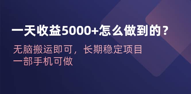 一天收益5000+怎么做到的？无脑搬运即可，长期稳定项目，一部手机可做艺创吧-网创项目资源站-副业项目-创业项目-搞钱项目艺创吧