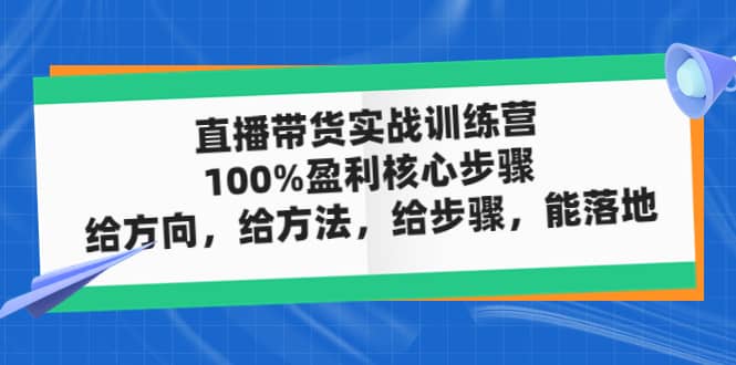 直播带货实战训练营：100%盈利核心步骤，给方向，给方法，给步骤，能落地艺创吧-网创项目资源站-副业项目-创业项目-搞钱项目艺创吧