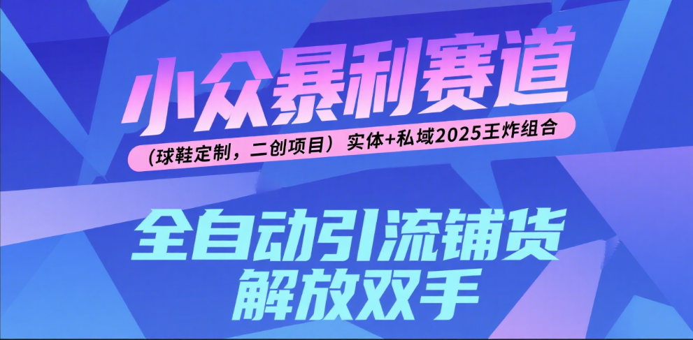 楠—小众暴利赛道（球鞋定制，二创项目）实体+私域2025王炸组合艺创吧-网创项目资源站-副业项目-创业项目-搞钱项目艺创吧