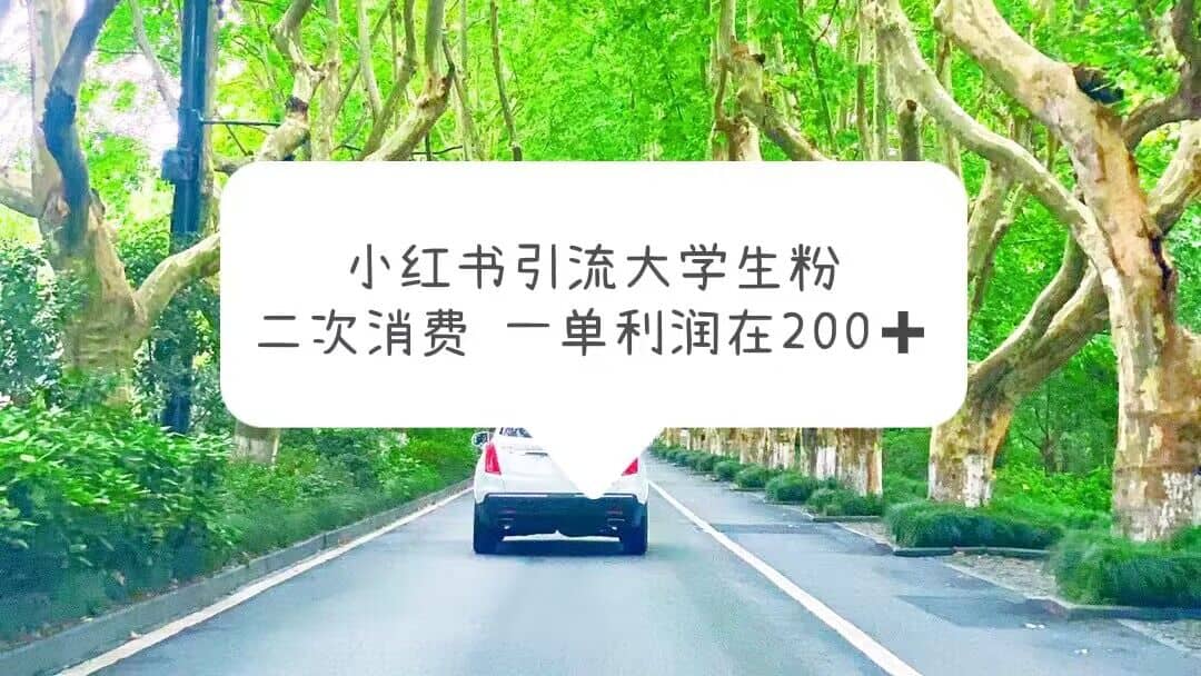 小红书引流大学生粉，变现项目，一单利润在200+（教程+资源）艺创吧-网创项目资源站-副业项目-创业项目-搞钱项目艺创吧