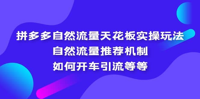拼多多自然流量天花板实操玩法：自然流量推荐机制，如何开车引流等等艺创吧-网创项目资源站-副业项目-创业项目-搞钱项目艺创吧