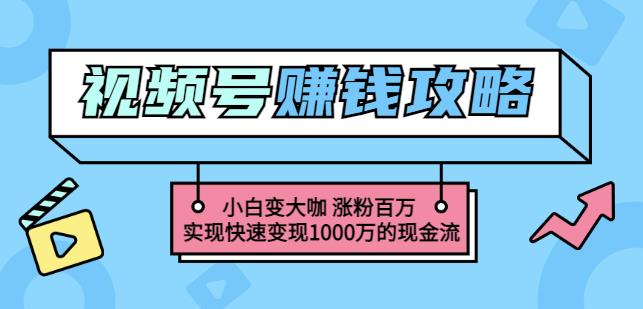 玩转微信视频号赚钱：小白变大咖涨粉百万实现快速变现1000万的现金流艺创吧-网创项目资源站-副业项目-创业项目-搞钱项目艺创吧