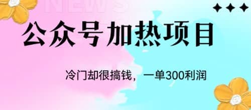 冷门公众号加热项目，一单利润300+艺创吧-网创项目资源站-副业项目-创业项目-搞钱项目艺创吧