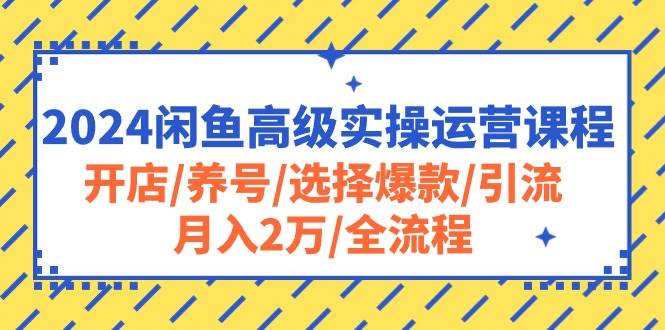 2024闲鱼高级实操运营课程：开店/养号/选择爆款/引流/月入2万/全流程艺创吧-网创项目资源站-副业项目-创业项目-搞钱项目艺创吧