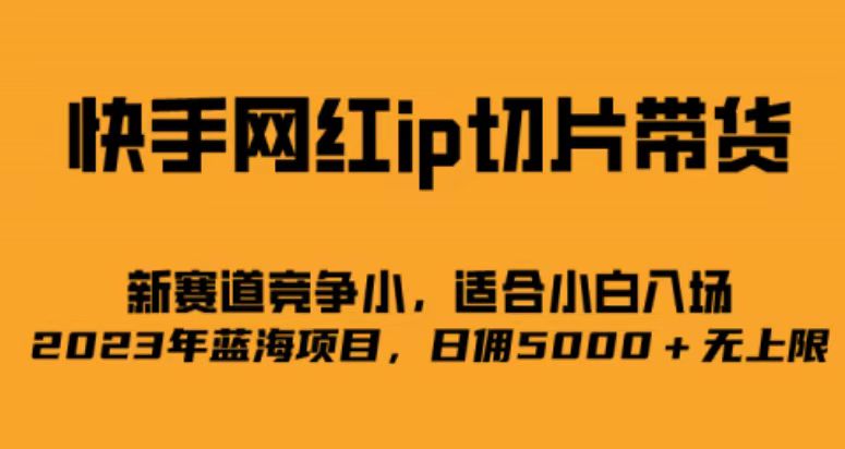 快手网红ip切片新赛道，竞争小事，适合小白 2023蓝海项目艺创吧-网创项目资源站-副业项目-创业项目-搞钱项目艺创吧