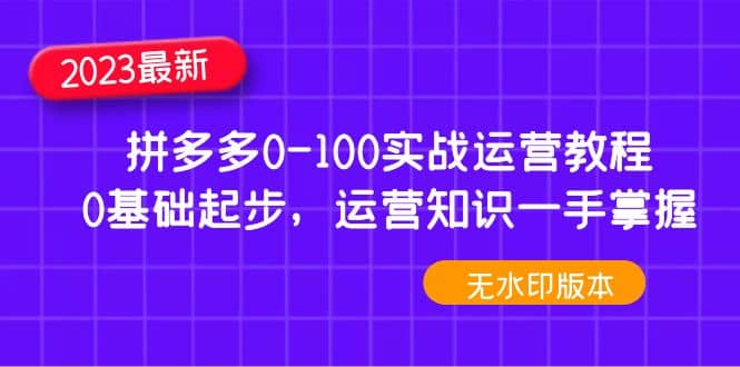 2023拼多多0-100实战运营教程，0基础起步，运营知识一手掌握（无水印）艺创吧-网创项目资源站-副业项目-创业项目-搞钱项目艺创吧