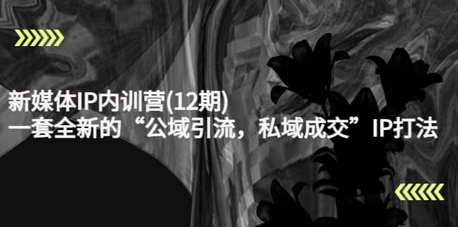 新媒体IP内训营(12期)，一套全新的“公域引流，私域成交”IP打法，直接带走艺创吧-网创项目资源站-副业项目-创业项目-搞钱项目艺创吧