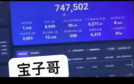 宝子哥无人直播，半无人直播，Obs+伴侣玩法，快速打标签+养鱼艺创吧-网创项目资源站-副业项目-创业项目-搞钱项目艺创吧