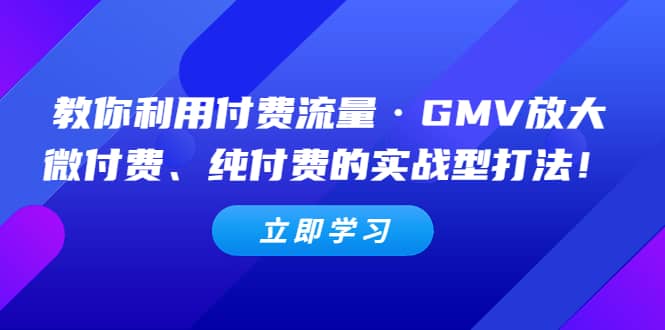 教你利用付费流量·GMV放大，微付费、纯付费的实战型打法艺创吧-网创项目资源站-副业项目-创业项目-搞钱项目艺创吧