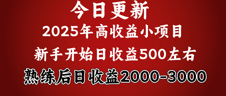 2025开年好项目，新手日收益500+ 熟练掌握后，日收益平均2000多艺创吧-网创项目资源站-副业项目-创业项目-搞钱项目艺创吧