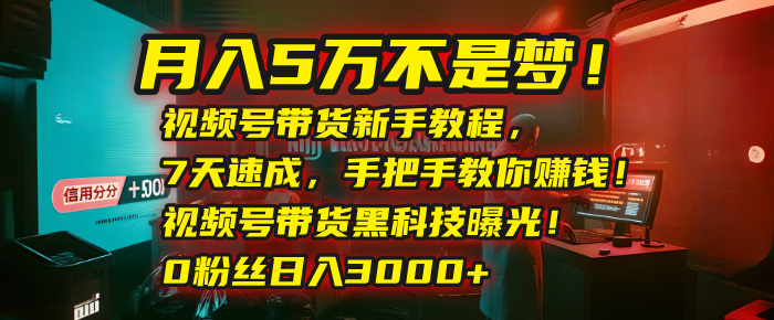 月入5万不是梦！视频号带货新手教程，7天速成，手把手教你赚钱！视频号带货黑科技曝光！0粉丝日入3000+艺创吧-网创项目资源站-副业项目-创业项目-搞钱项目艺创吧