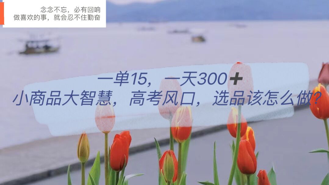 一单15，一天300+，小商品大智慧，高考风口，选品该怎么布局艺创吧-网创项目资源站-副业项目-创业项目-搞钱项目艺创吧
