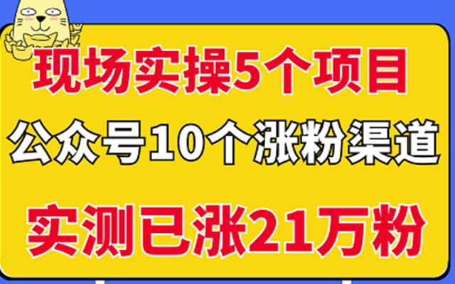 现场实操5个公众号项目，10个涨粉渠道，实测已涨21万粉！艺创吧-网创项目资源站-副业项目-创业项目-搞钱项目艺创吧