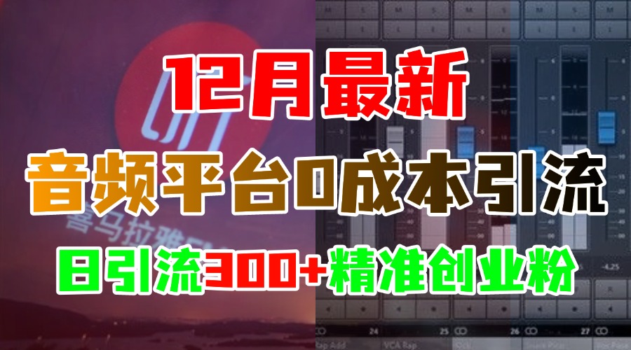 12月最新：音频平台0成本引流，日引300+精准创业粉艺创吧-网创项目资源站-副业项目-创业项目-搞钱项目艺创吧