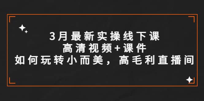 3月最新实操线下课高清视频+课件，如何玩转小而美，高毛利直播间艺创吧-网创项目资源站-副业项目-创业项目-搞钱项目艺创吧