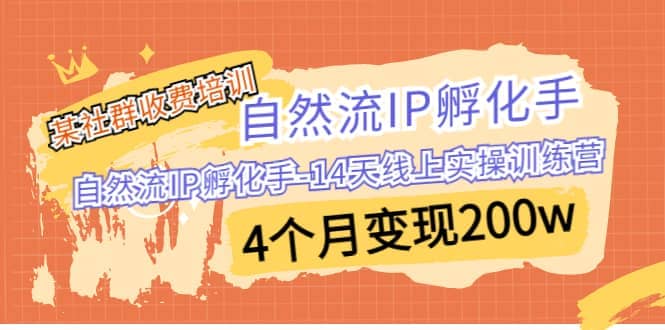 某社群收费培训：自然流IP 孵化手-14天线上实操训练营 4个月变现200w艺创吧-网创项目资源站-副业项目-创业项目-搞钱项目艺创吧