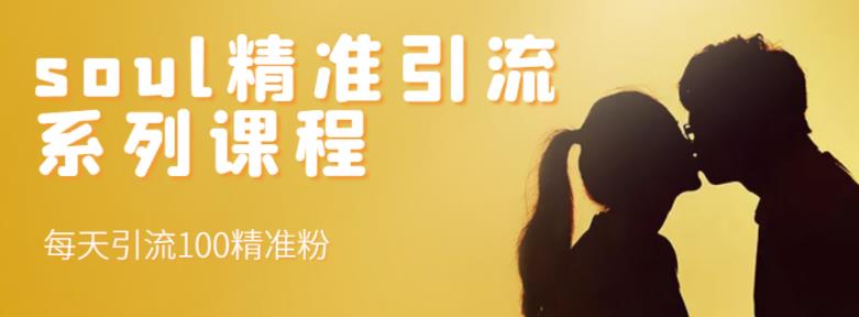 soul精准引流系列课程，每天引流100精准粉艺创吧-网创项目资源站-副业项目-创业项目-搞钱项目艺创吧