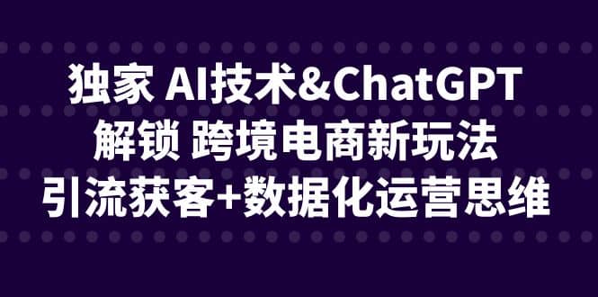 独家 AI技术ChatGPT解锁 跨境电商新玩法，引流获客+数据化运营思维艺创吧-网创项目资源站-副业项目-创业项目-搞钱项目艺创吧