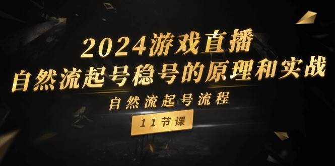 2024游戏直播-自然流起号稳号的原理和实战，自然流起号流程（11节）艺创吧-网创项目资源站-副业项目-创业项目-搞钱项目艺创吧