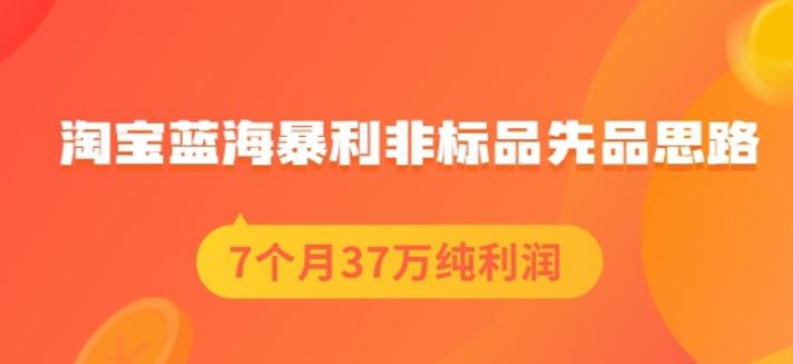 盗坤淘宝蓝海暴利非标品先品思路，7个月37万纯利润，压箱干货分享！【付费文章】艺创吧-网创项目资源站-副业项目-创业项目-搞钱项目艺创吧