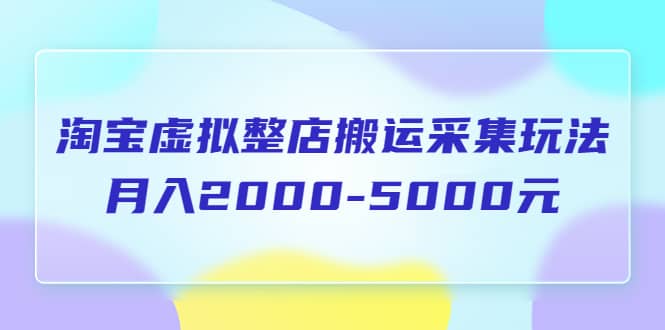 淘宝虚拟整店搬运采集玩法分享课：月入2000-5000元（5节课）艺创吧-网创项目资源站-副业项目-创业项目-搞钱项目艺创吧