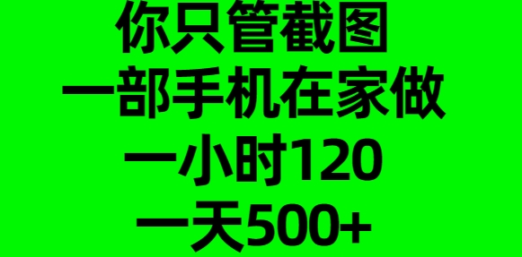 你只管截图，一部手机在家做，一小时120，一天500+艺创吧-网创项目资源站-副业项目-创业项目-搞钱项目艺创吧