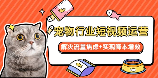 宠物/行业短视频运营 流量增长的一层窗户纸 解决流量焦虑+实现降本增效艺创吧-网创项目资源站-副业项目-创业项目-搞钱项目艺创吧