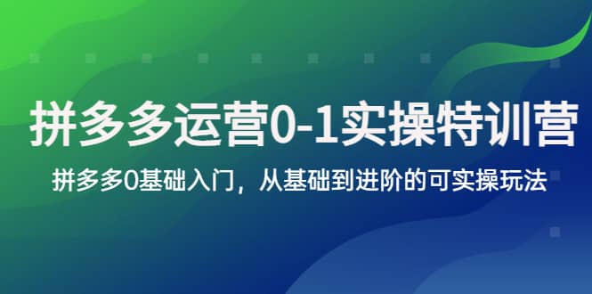 拼多多-运营0-1实操训练营，拼多多0基础入门，从基础到进阶的可实操玩法艺创吧-网创项目资源站-副业项目-创业项目-搞钱项目艺创吧