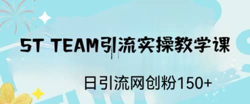 ST TEAM引流实操课，日引流网创粉100+艺创吧-网创项目资源站-副业项目-创业项目-搞钱项目艺创吧