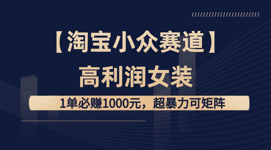 【淘宝小众赛道】高利润女装：1单必赚1000元，超暴力可矩阵艺创吧-网创项目资源站-副业项目-创业项目-搞钱项目艺创吧