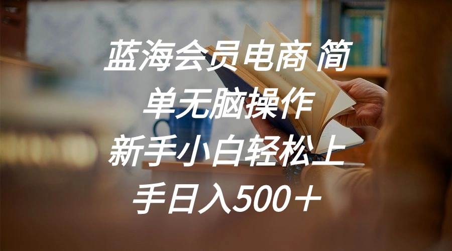 蓝海会员电商 简单无脑操作 新手小白轻松上手日入500＋艺创吧-网创项目资源站-副业项目-创业项目-搞钱项目艺创吧
