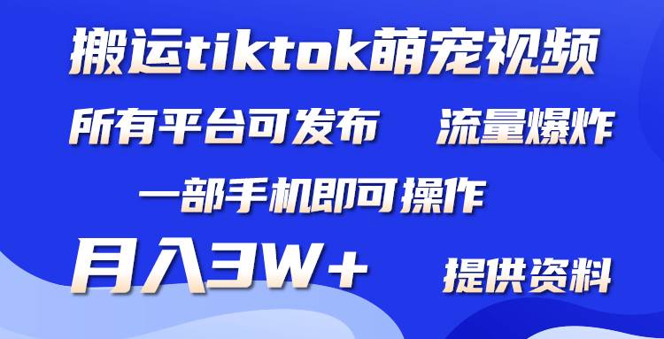 搬运Tiktok萌宠类视频，一部手机即可。所有短视频平台均可操作，月入3W+艺创吧-网创项目资源站-副业项目-创业项目-搞钱项目艺创吧