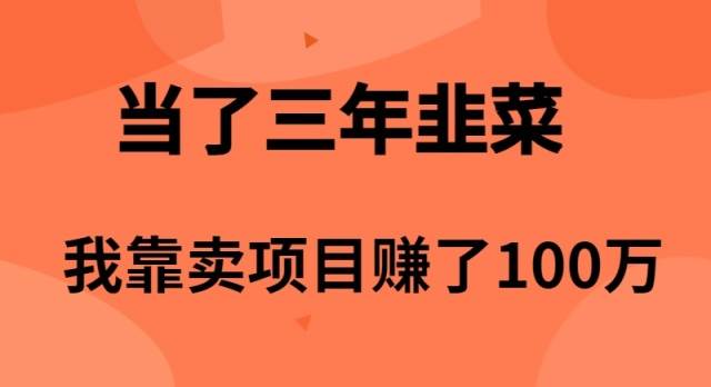 当了3年韭菜，我靠卖项目赚了100万艺创吧-网创项目资源站-副业项目-创业项目-搞钱项目艺创吧