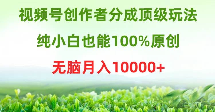 视频号创作者分成顶级玩法，纯小白也能100%原创，无脑月入10000+艺创吧-网创项目资源站-副业项目-创业项目-搞钱项目艺创吧